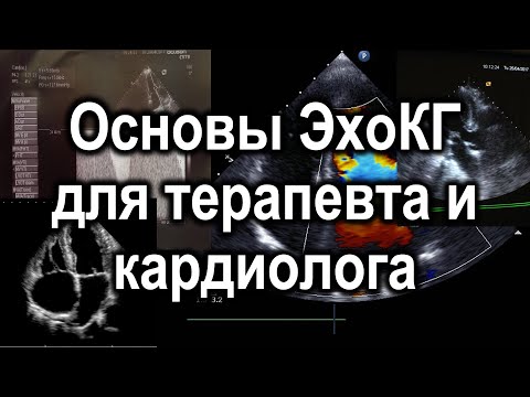 Основы ЭхоКГ для терапевта и кардиолога