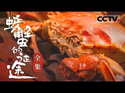 到底要多少螃蟹才够吃?清蒸蟹 葱油梭子蟹 蟹粉汤包 馋哭了!不流口水算你赢!【CCTV纪录】