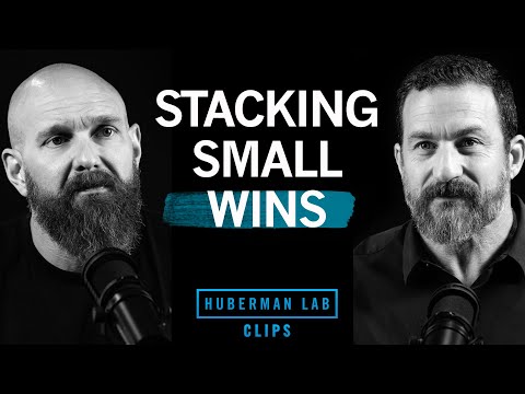 How to Gain Control with Small Wins | DJ Shipley & Dr. Andrew Huberman