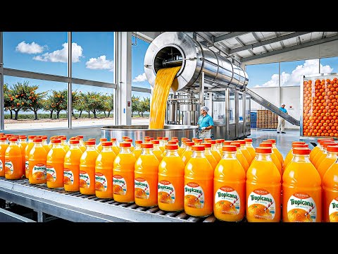 How Orange Juice Is Made In Factory