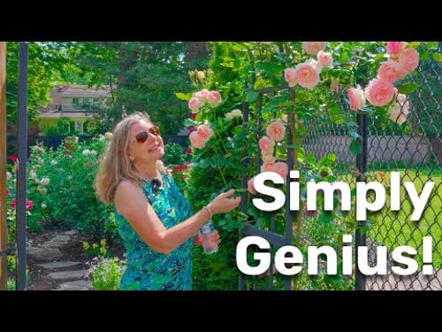 Her easy trick makes an ordinary backyard anything but ordinary