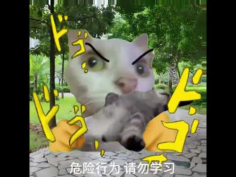 关于你老婆的由来 #猫meme小故事 #猫meme #猫meme小剧场 #猫meme故事