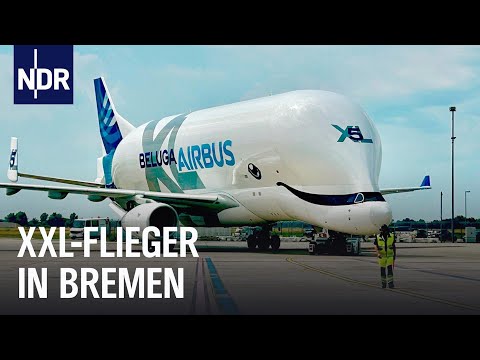 XXL-Fracht für die Beluga in Bremen I Abenteuer Flughafen (2/2) | Die Nordreportage | NDR Doku