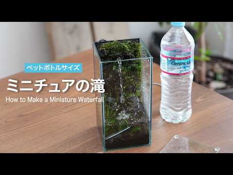 How to Create a Mini Waterfall Terrarium