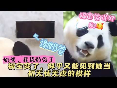2025.4.20福宝变得爱笑了,与奶爸奶妈们相处融洽,谢奶爸很像两位爷爷一样爱着福宝#大熊猫 #panda #福宝 #福宝和爷爷