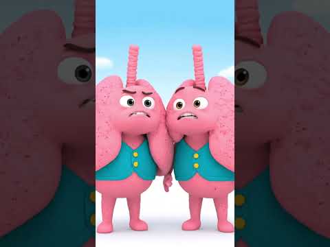 What Anxiety Actually Feels Like Inside Your Body | The Organ Story