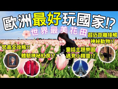【荷蘭自由行】比瑞士更美的風景?鬱金香彩虹海×進入梵高的世界!近距離親親動物×潛入童話王國?過萬字親身旅遊攻略精華全記錄 | 香港人旅行 Vlog : 這國家太顛覆想像 | 歐洲歐遊首選