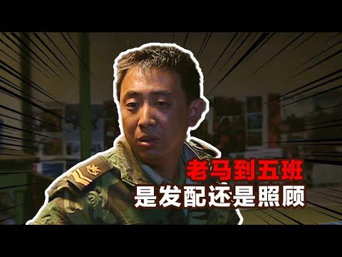 老馬被派往草原五班,是受罰還是受照顧?