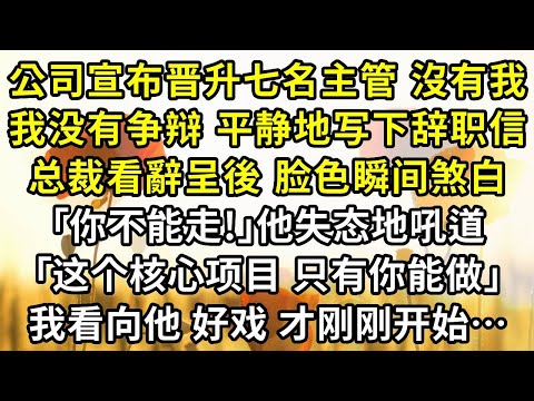 公司宣布晋升七名主管,卻沒有業績常年霸榜第一的我。我没有争辩,平静地写下辞职信,总裁看辭呈後,脸色瞬间煞白「你不能走!」他失态地吼道。「这个核心项目,只有你能做」我看向他,好戏,才刚刚开始…