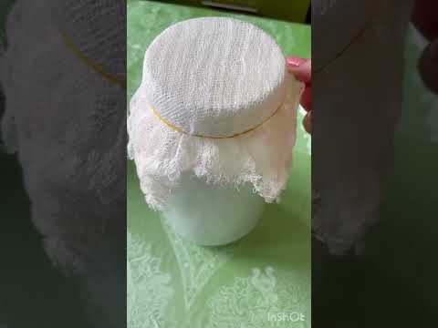 Творог домашний из молочного гриба