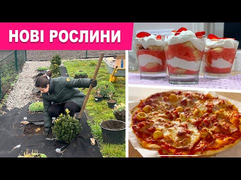 Смачні РЕЦЕПТИ, садові турботи, оформлення зони паркану та БУДІВНИЦТВО тераси