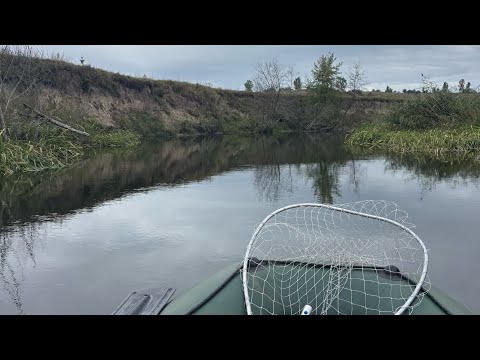 AUTUMN FISHING ON THE MOUNTAIN! Pike fishing in October 2025!
