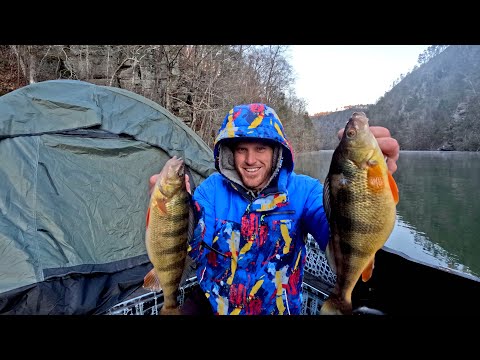 Camping ON my BOAT at a mountain reservoir! FAT perch catch and cook