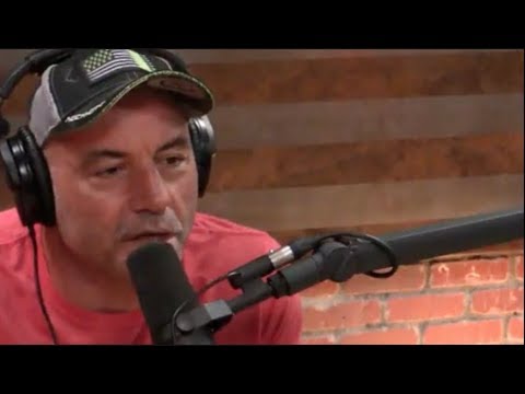 Joe Rogan - Jiu Jitsu is the Truest Martial Art