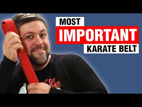 Why The Red Belt is the MOST Important Belt | ART OF ONE DOJO