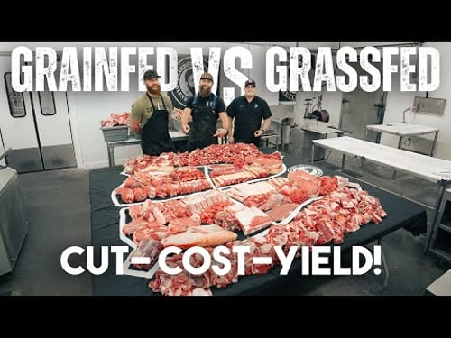 Grain-Fed vs. Grass-Fed Beef Diagram: 2025 Cut, Cost, & Yield