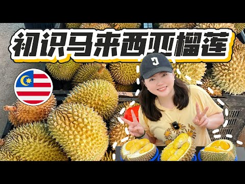 The world's best durian is in Malaysia. Is a flight there worth the money?
