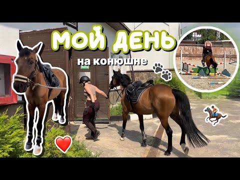 vlog: мой день на конюшне | первая конкурная тренировка | КСК Левадия - НКП Русь