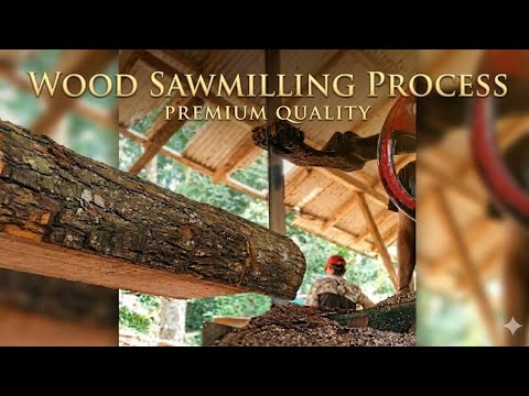 THE WONDER of the wooden world, the best wood processing