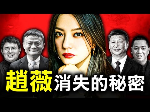 從人氣小燕子到億萬女股神 為何趙薇卻在那一夜神秘消失了?