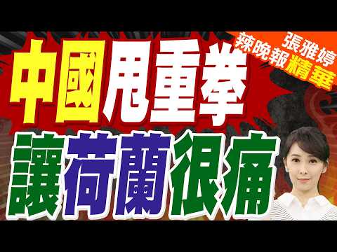 荷蘭徹底傻眼!中方正式宣佈:更換國內供應商 從此不再合作|中國甩重拳 讓荷蘭很痛|蔡正元.栗正傑.謝寒冰深度剖析?【張雅婷辣晚報】精華版 @中天新聞CtiNews