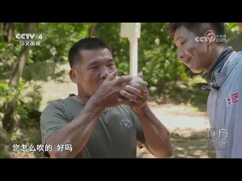 《远方的家》 20231010 山河锦绣看中国 珠江西岸 南国风情|CCTV中文国际