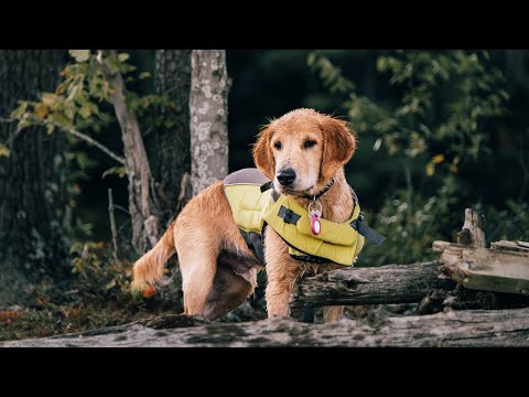 Serenity by the Lake | Little Moments in Life (Shot on Fuji XT4 with 50-140mm)