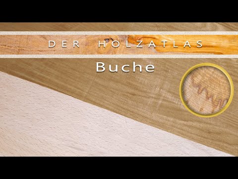 Schönes Holz für wenig Geld - Buche genauer betrachtet