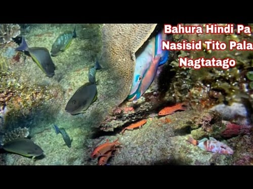 Episode 505 dive 2 bahura Hindi Pa Nasisid dito Pala Nagtatago night spearfishing Philippines