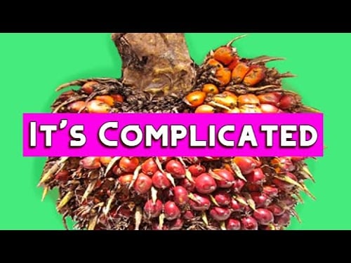 PALM OIL - The Good, The Bad & The Oily