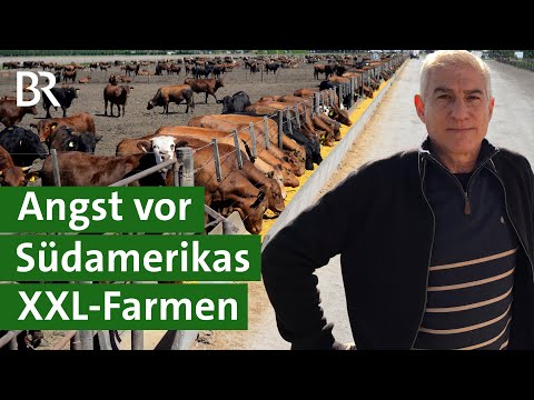Mercosur-Abkommen im Faktencheck: Das sind die Auswirkungen für Landwirte | Unser Land | BR