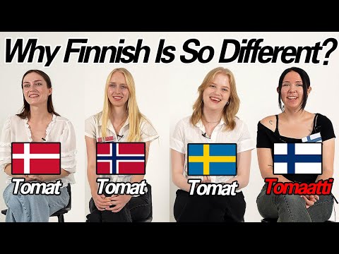 Why Finnish Is So Different? Word differences Between 4 Nordic Countries!