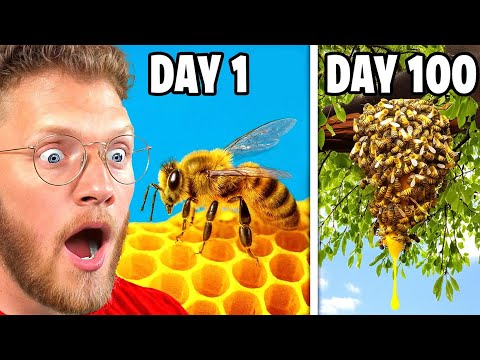 He Simulated a 10,000 Bee Colony