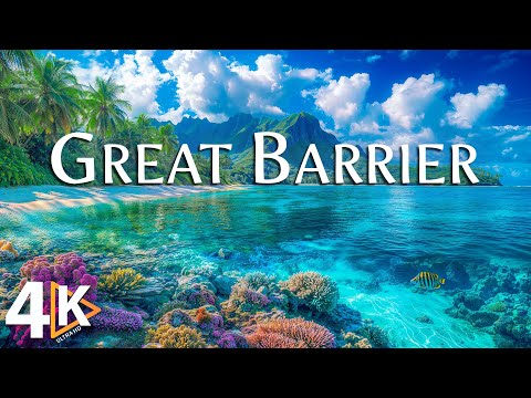 GREAT BARRIER REEF 4K UHD • Why This Natural Wonder Is a Must See!