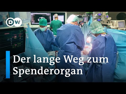 Neues Leben: Bei der Herztransplantation mit dabei | DW Reporter