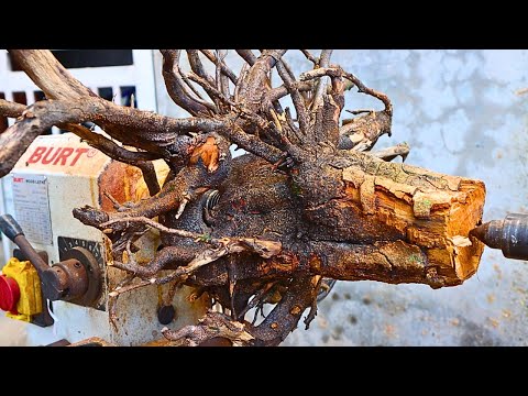 The art of woodturning – From dry pieces of wood to stunning, almost magical vases.