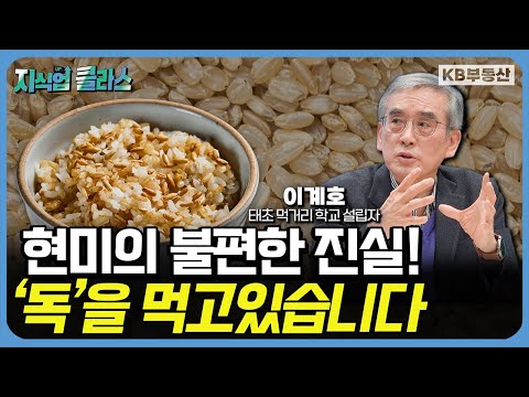 현미도 잘못 먹으면 '독'이 됩니다. 올바른 현미 섭취법은 '이것' 입니다 (이계호 교수 풀버전)