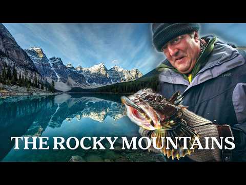 Wolves, Bears & Bisons: Exploring the American West