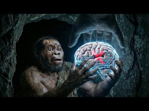 DER MENSCHLICHE CODE: Die unsichtbare Macht, die uns das eigene Fleisch verbot