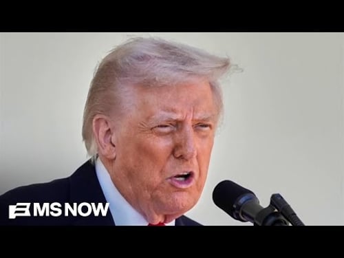 Trump calls Supreme Court 'a disgrace to our nation' after striking down his tariff policy