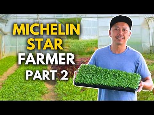 INSIDE Japanβs Famous Farm Supplying 3-Star Chefs