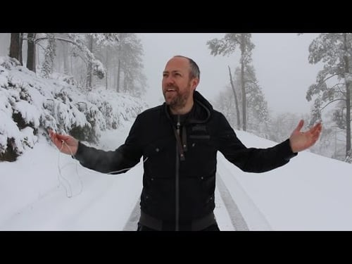 Word order in English | Canguro English