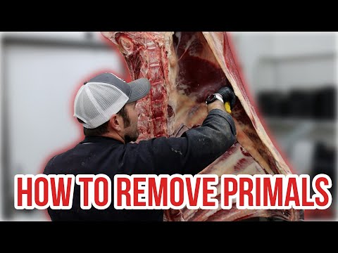 Grassfed Beef Breakdown: How to Locate and Remove the Primals