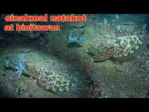 ep640 kulambutan sinakmal ang botete natakot at binitawan