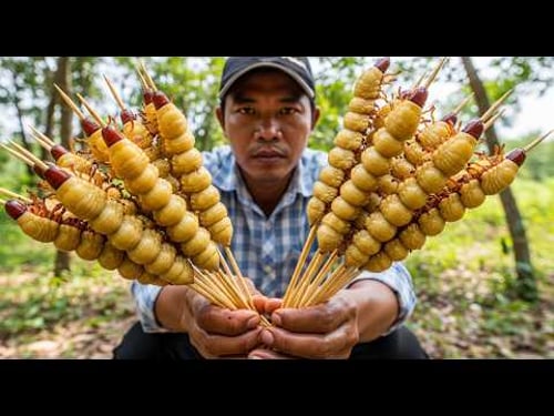 Raising worms to make food for camping trips