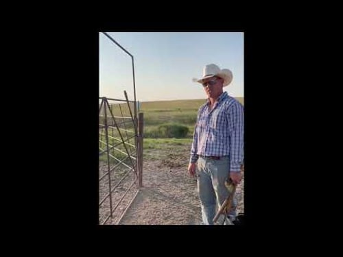 Middle School Rangeland Curriculum, Episode 8: Everyday Ranching