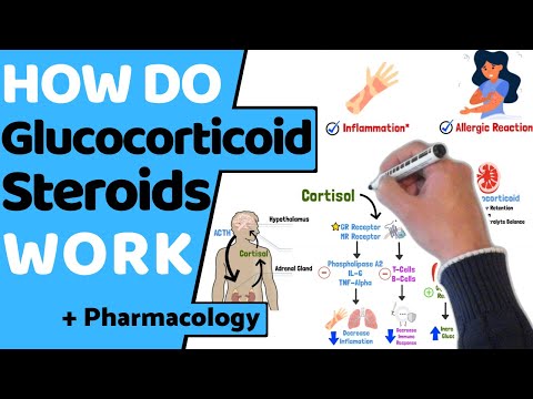 How do Corticosteroids Work? (EASY Pharmacology)