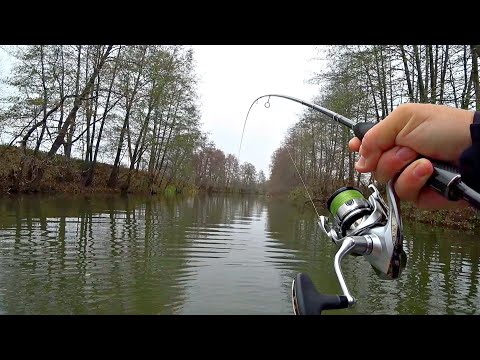 ЗАБРАЛСЯ В ЩУЧЬЕ ЛОГОВО И ОФИГЕЛ. Лови хоть мешок. Такого жора я не припомню. Рыбалка на спиннинг