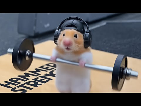 SORA 2 MEMES THAT SHOULD BE BANNED!!