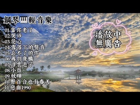 鋼琴演奏🎶國語流行歌曲🎶民歌🎶當你老了.哭砂.花心.雪落下的聲音.忘不了的你.再別康橋.浮雲遊子.小薇.秋蟬.野百合也有春天.戀曲1990